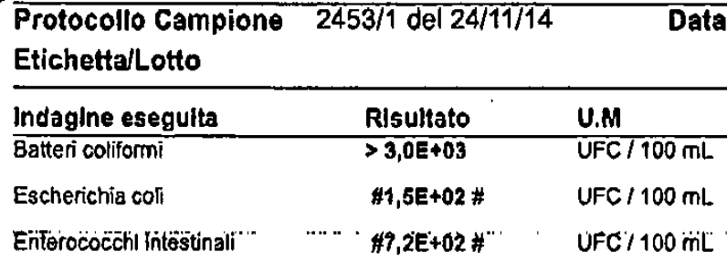 Water sample before ozone treatment