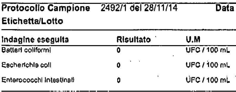 Water sample after 4 days of ozone treatment – GEOmix 
