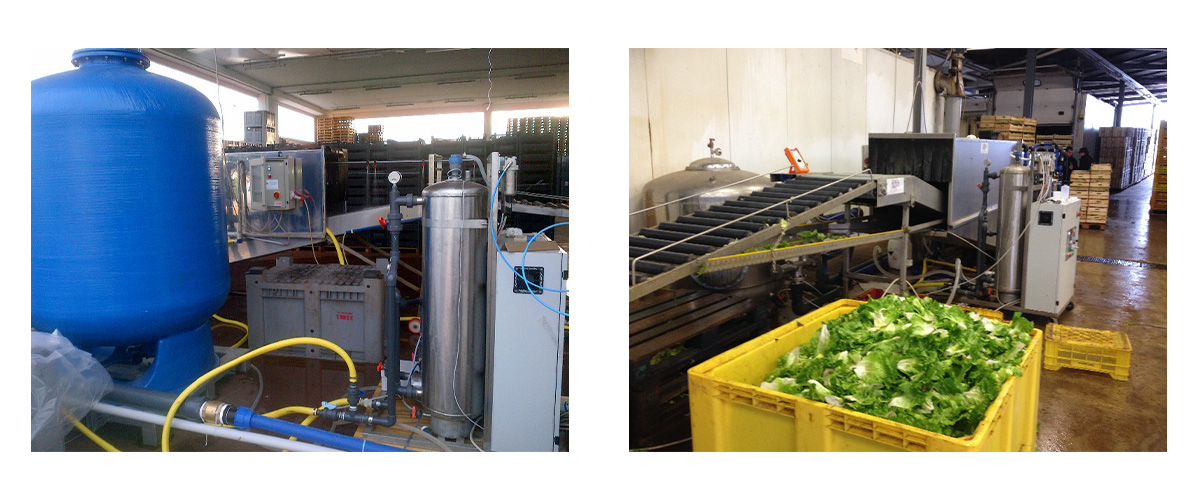 Examples of ozone generation systems integrated with vegetable washing machines
